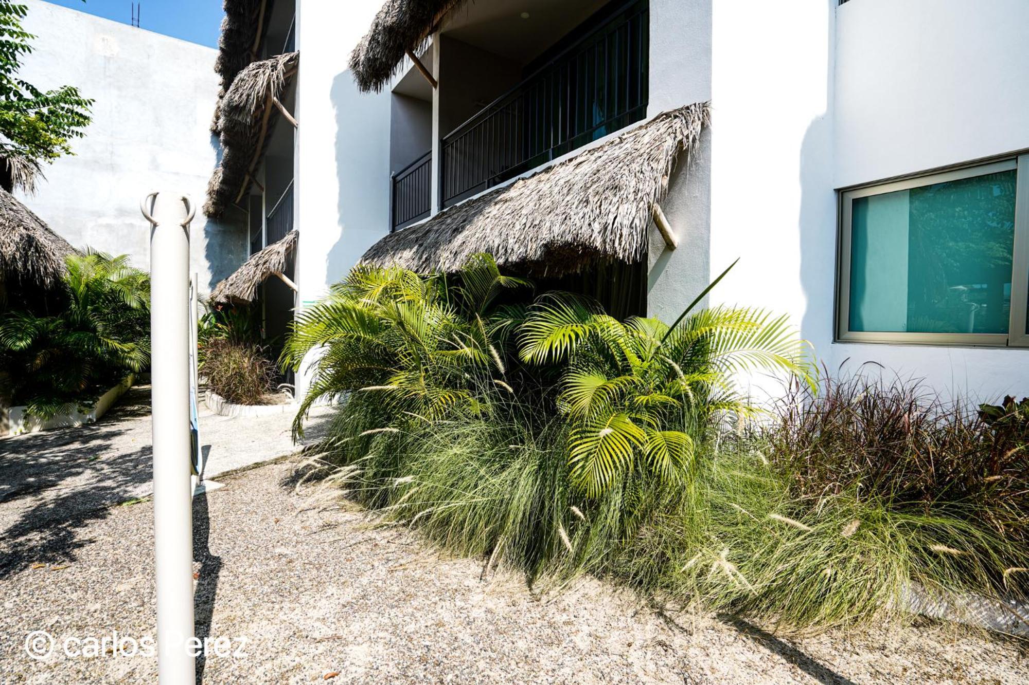 Hotel Puerto サユリタ エクステリア 写真